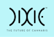 Dixie Elixirs Logo